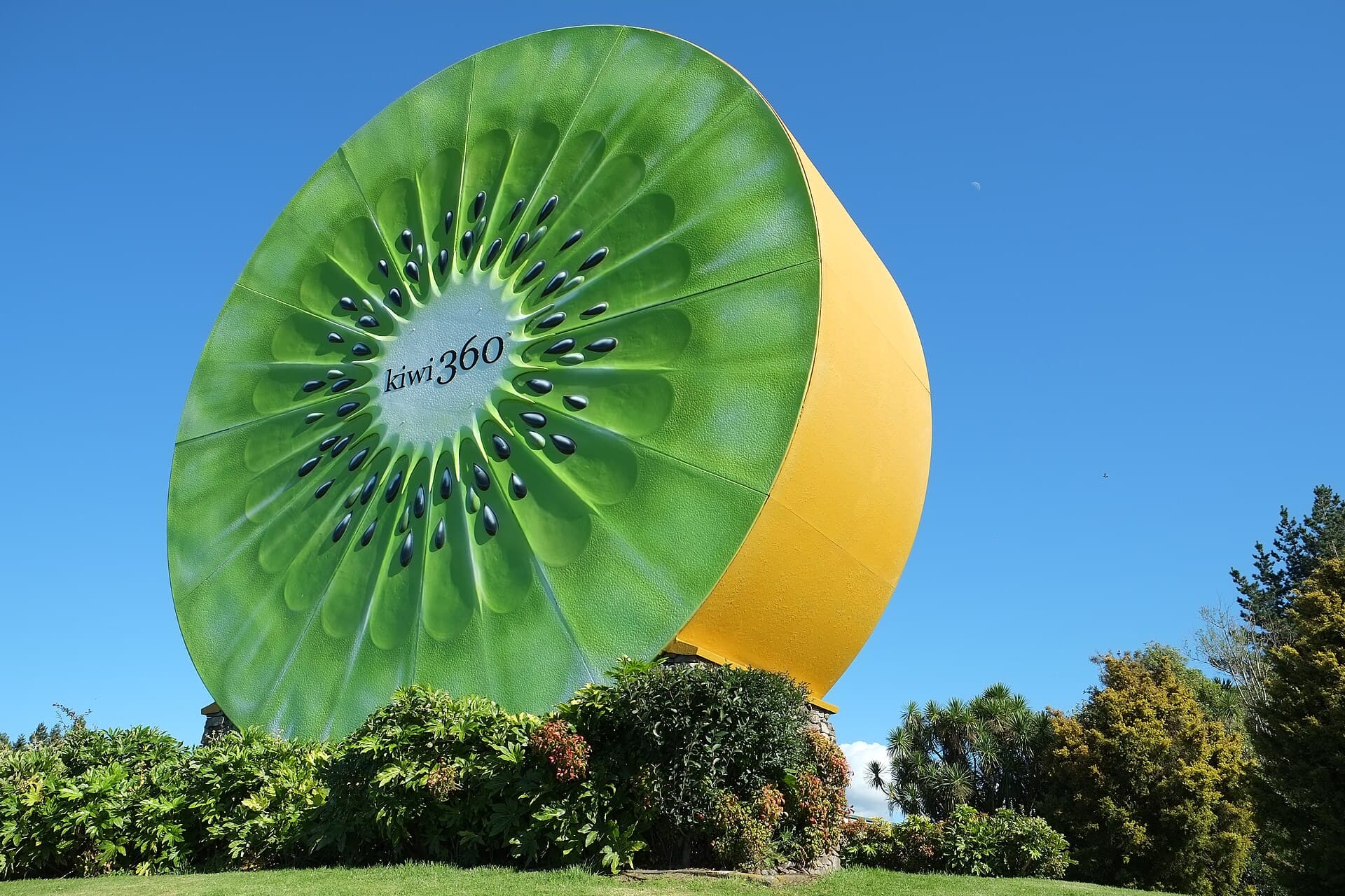 Daily New Zealand location clue
