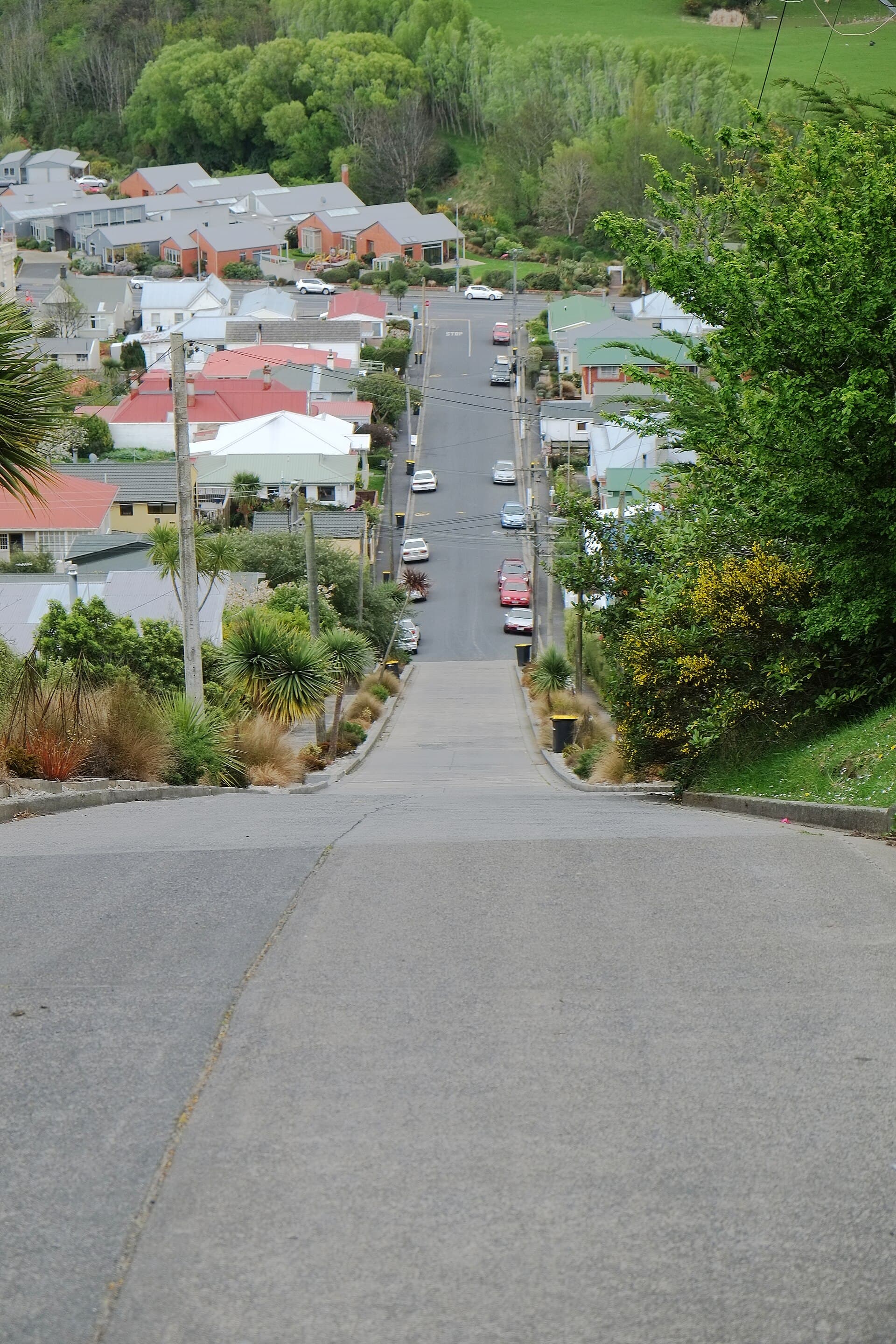 Daily New Zealand location clue