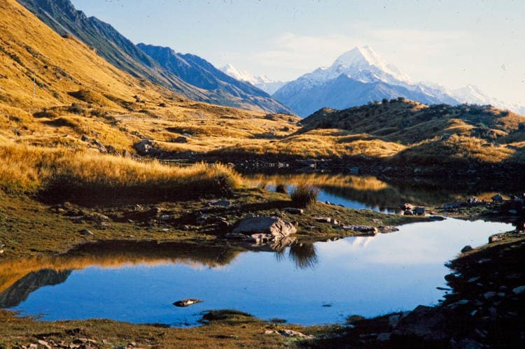 Daily New Zealand location clue