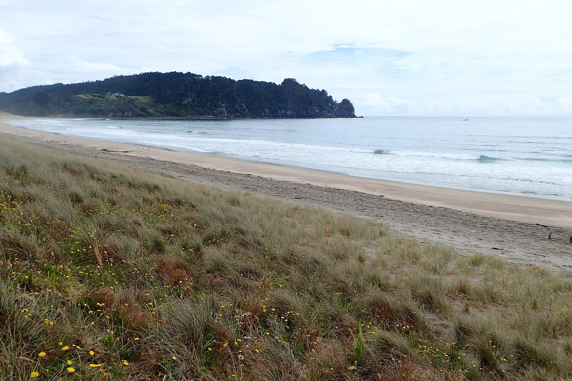 Daily New Zealand location clue
