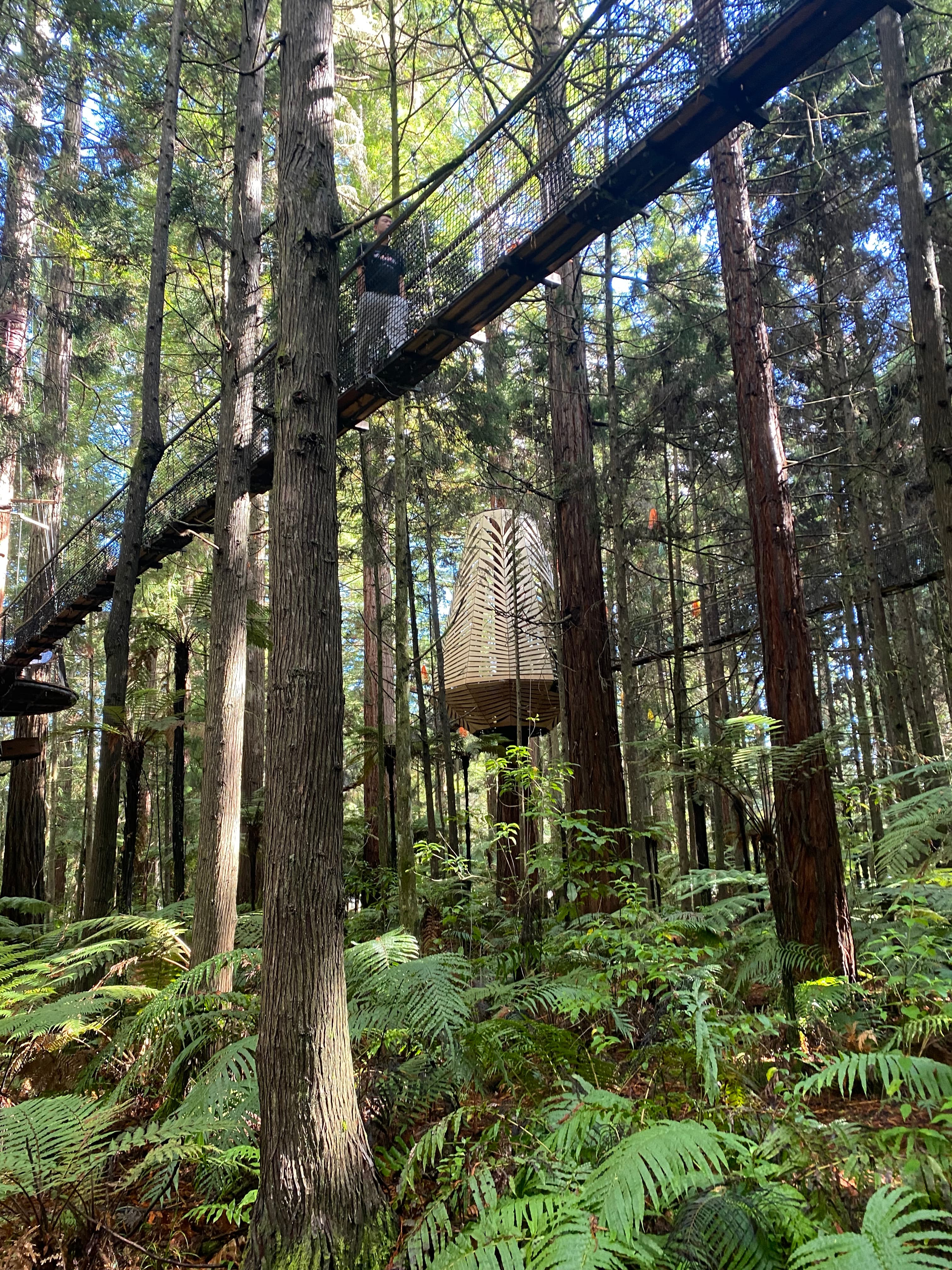 Daily New Zealand location clue