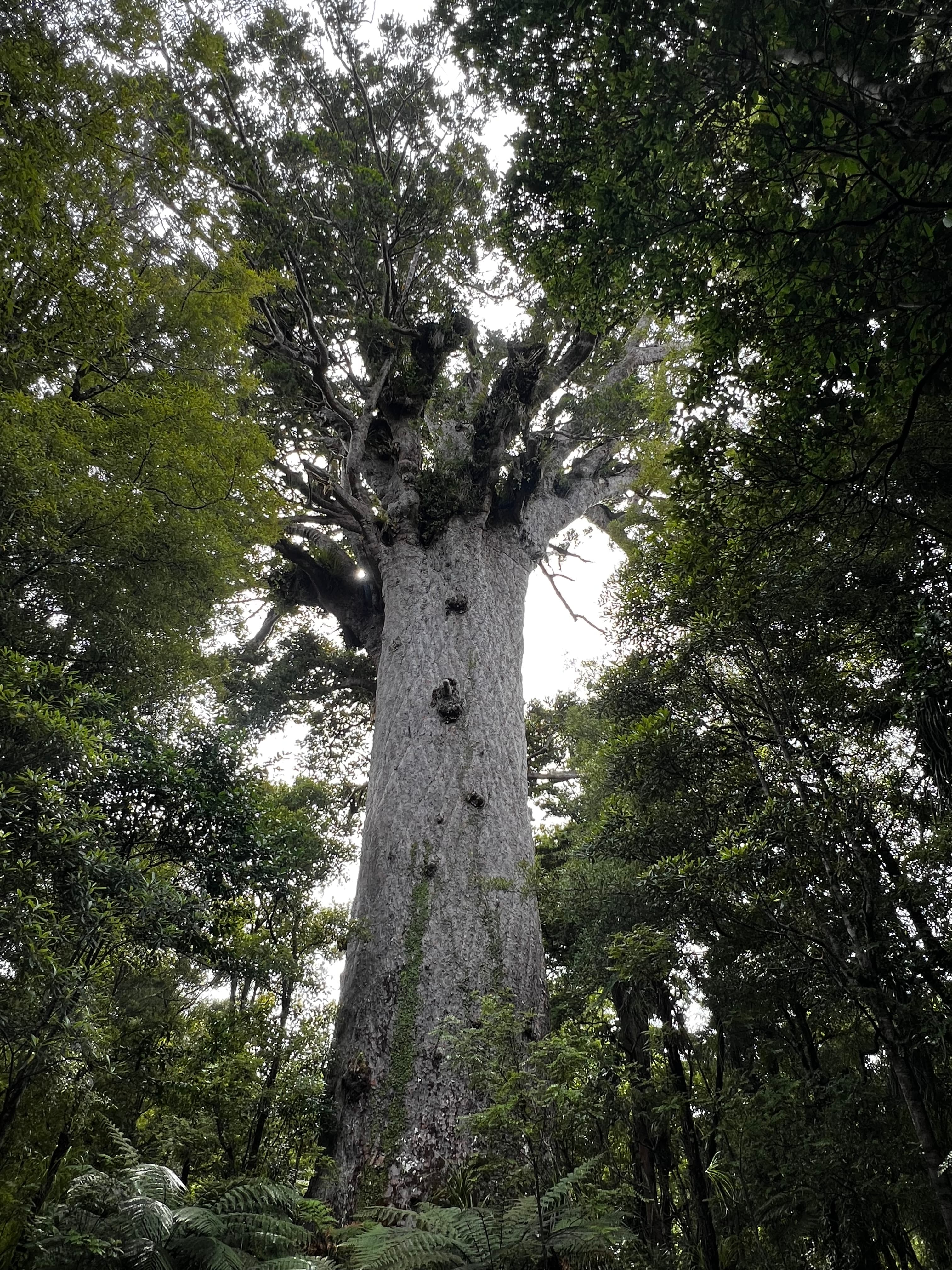 Daily New Zealand location clue
