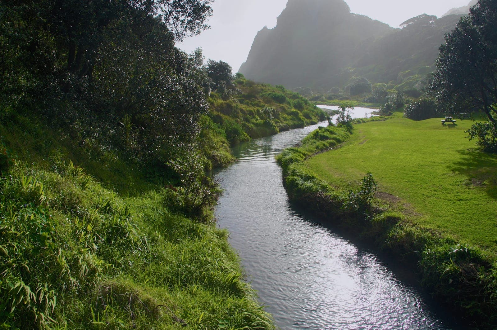 Karekare Stream winding across the black sand at Karekare Beach