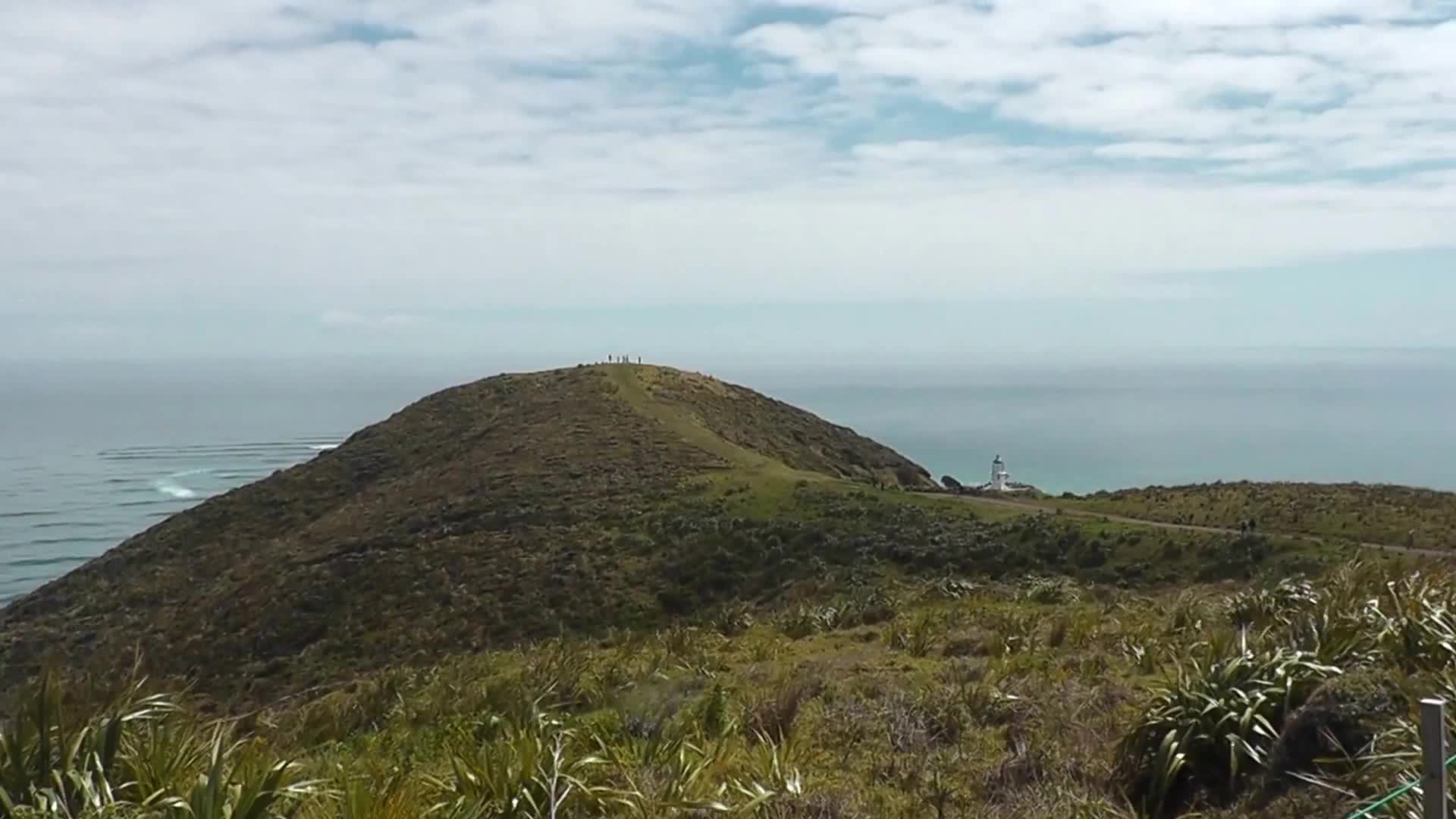 Daily New Zealand location clue